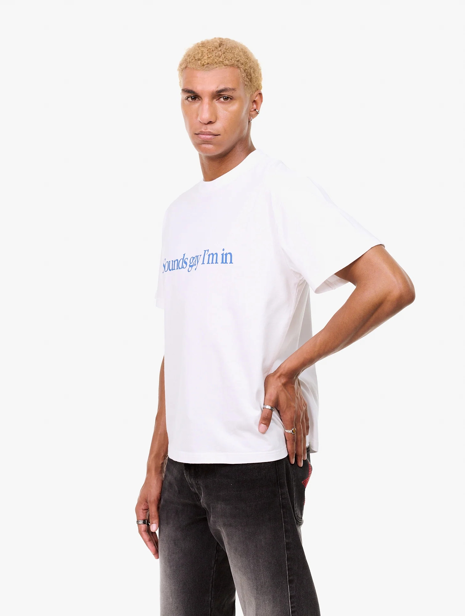 Simply Sounds Gay - Image 5